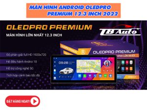 Màn hình OledPro Premium 12.3 inch kích thước lớn nhất tích hợp camera 360