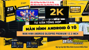 z111 Recovered Recovered Recovered 19